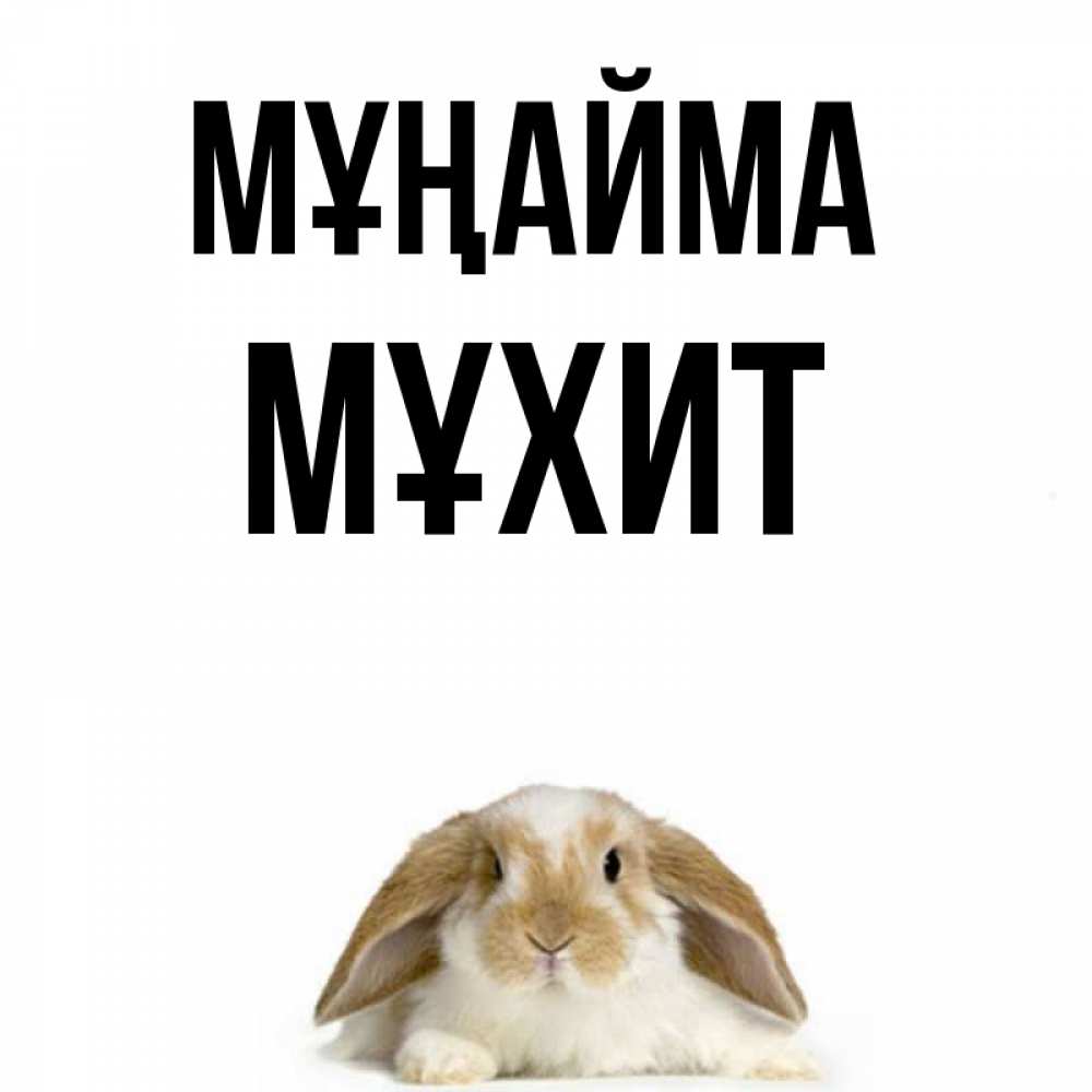 Күн сайын ашық хат с именем, МҰХИТ Мұңайма коричнево белый заяц с большими ушками Онлайн тегін жүктеп алу тілектері бар керемет карта 