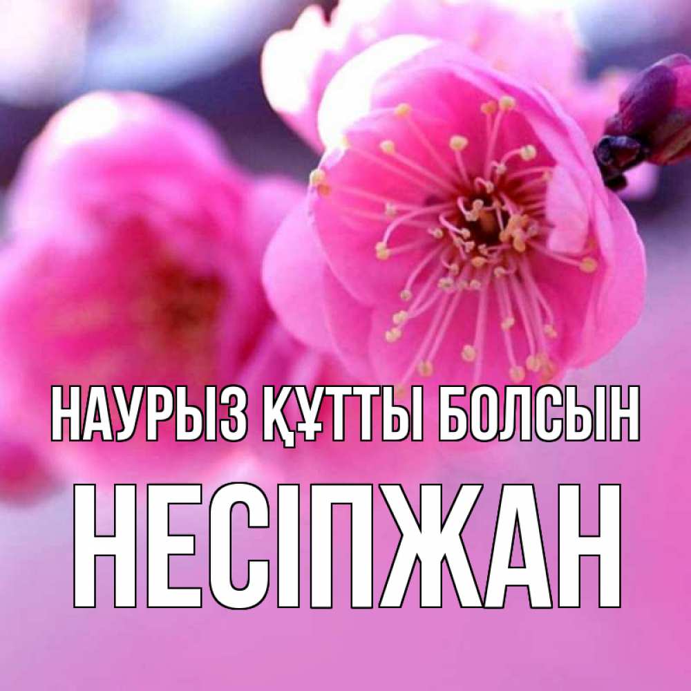 Күн сайын ашық хат с именем, НЕСІПЖАН Наурыз құтты болсын наурыз мейрам Онлайн тегін жүктеп алу тілектері бар керемет карта 