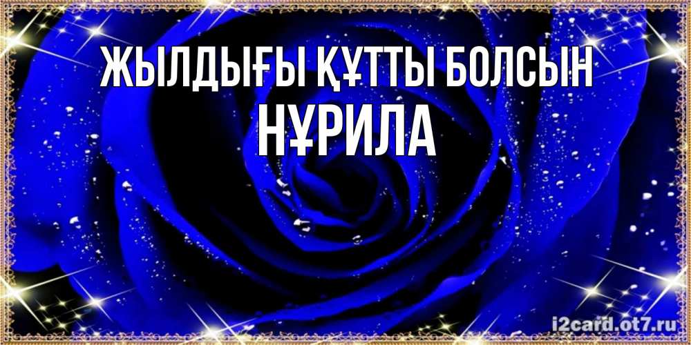 Күн сайын ашық хат с именем, НҰРИЛА Жылдығы құтты болсын голубые цветы в росе Онлайн тегін жүктеп алу тілектері бар керемет карта 