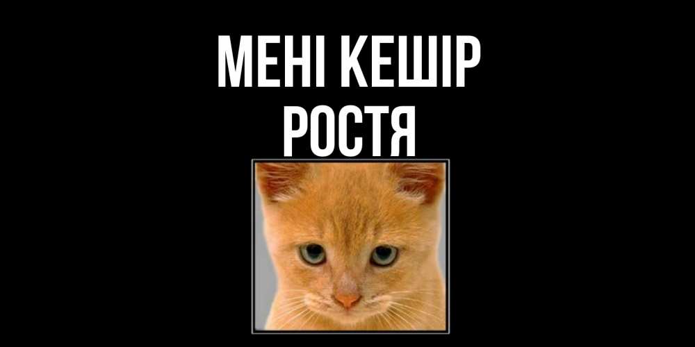 Күн сайын ашық хат с именем, Ростя Мені кешір рыжий грустный кот просит прощения Онлайн тегін жүктеп алу тілектері бар керемет карта 