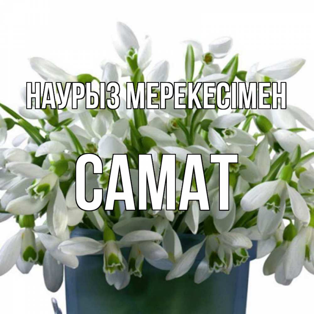 Күн сайын ашық хат с именем, САМАТ Наурыз мерекесімен цветы к наурызу новый год в Казахстане Онлайн тегін жүктеп алу тілектері бар керемет карта 