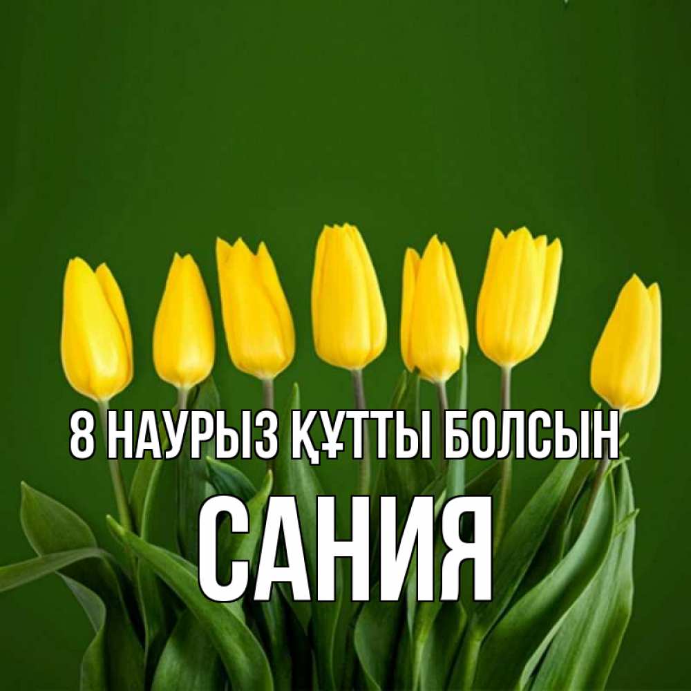 Күн сайын ашық хат с именем, Сания 8 наурыз құтты болсын желтого цвета 3 Онлайн тегін жүктеп алу тілектері бар керемет карта 