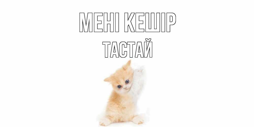 Күн сайын ашық хат с именем, ТАСТАЙ Мені кешір кот Онлайн тегін жүктеп алу тілектері бар керемет карта 
