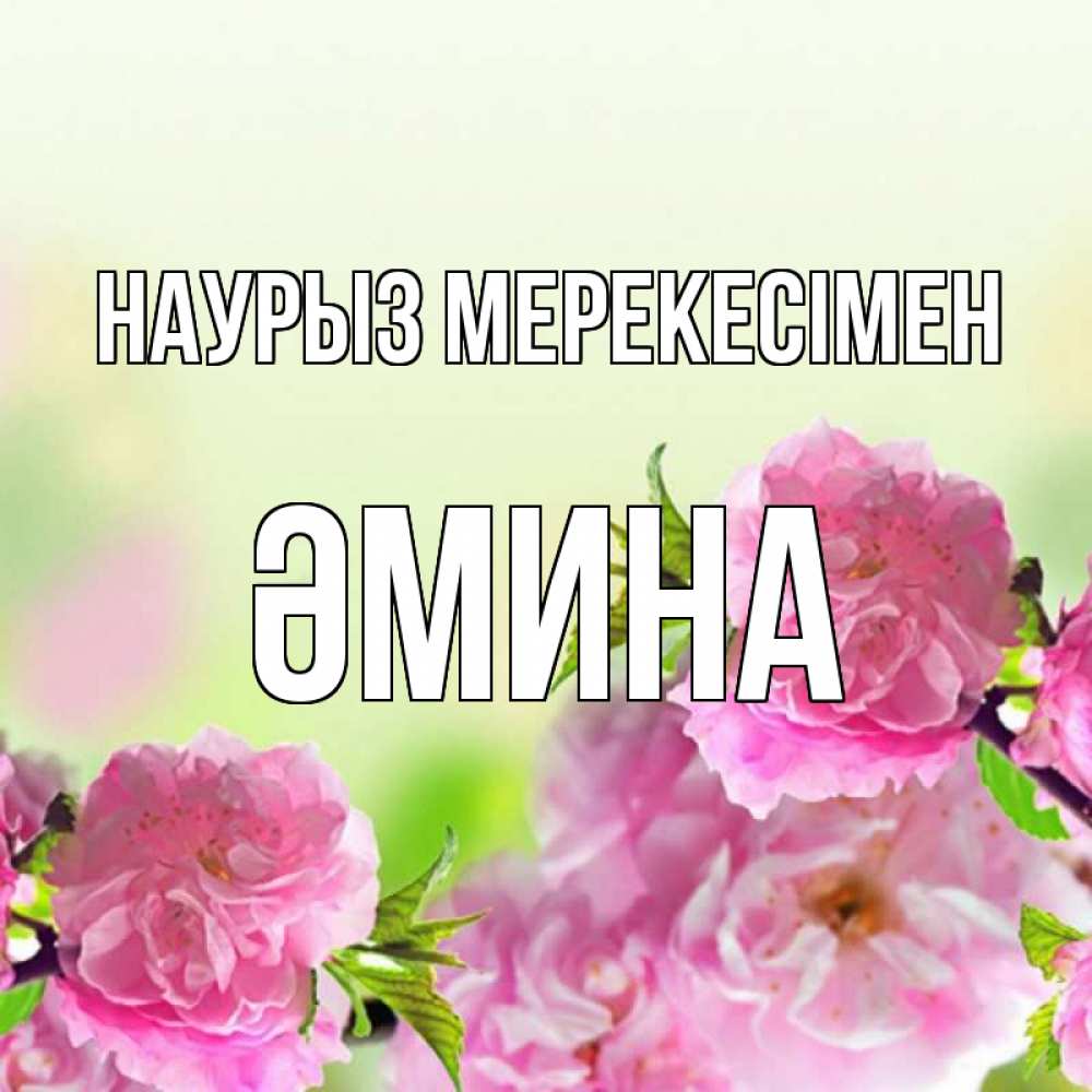 Күн сайын ашық хат с именем, ӘМИНА Наурыз мерекесімен цветы Онлайн тегін жүктеп алу тілектері бар керемет карта 