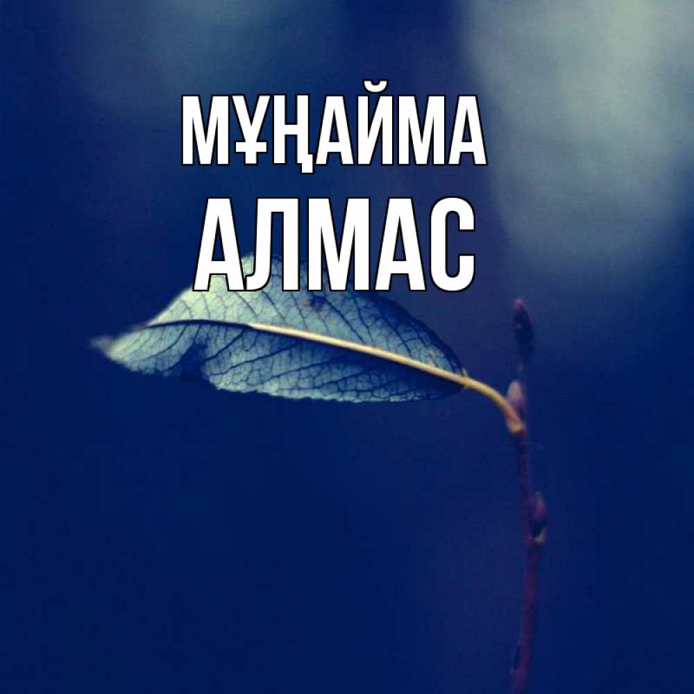 Күн сайын ашық хат с именем, Алмас Мұңайма растение Онлайн тегін жүктеп алу тілектері бар керемет карта 