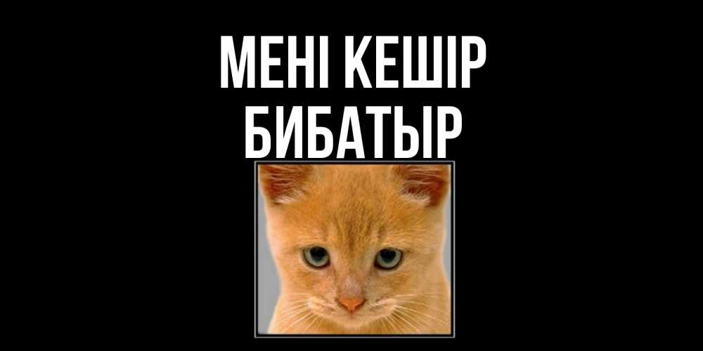 Күн сайын ашық хат с именем, Бибатыр Мені кешір рыжий грустный кот просит прощения Онлайн тегін жүктеп алу тілектері бар керемет карта 