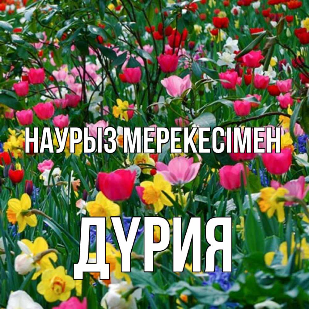 Күн сайын ашық хат с именем, ДҮРИЯ Наурыз мерекесімен с наурызом праздником весны поздравления для женщины Онлайн тегін жүктеп алу тілектері бар керемет карта 