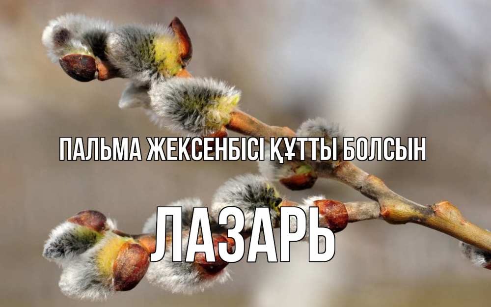 Күн сайын ашық хат с именем, Лазарь Пальма жексенбісі құтты болсын Верба Онлайн тегін жүктеп алу тілектері бар керемет карта 