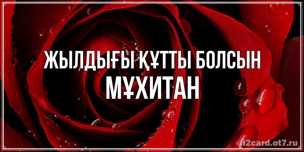 Күн сайын ашық хат с именем, МҰХИТАН Жылдығы құтты болсын крупная бордовая роза Онлайн тегін жүктеп алу тілектері бар керемет карта 