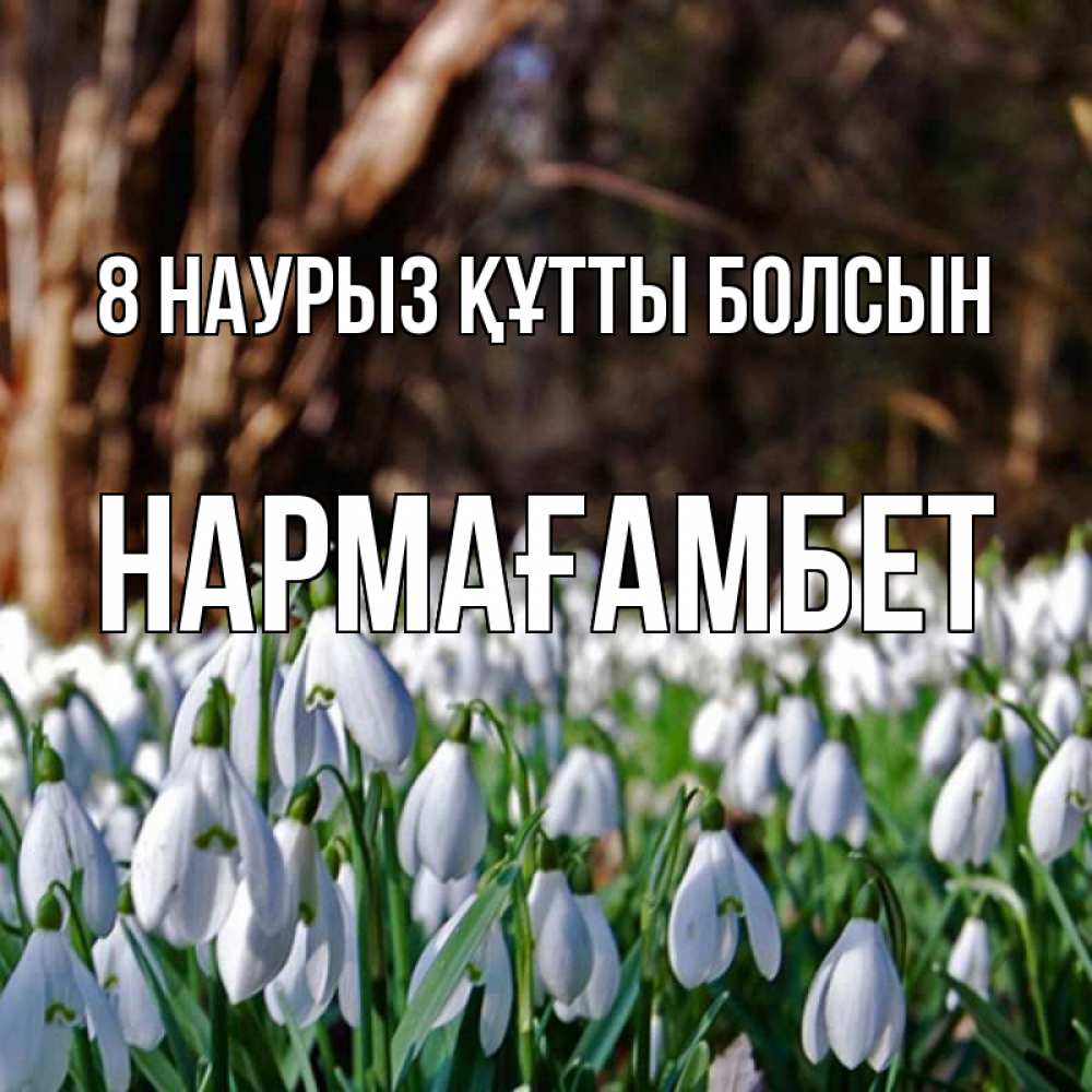Күн сайын ашық хат с именем, НАРМАҒАМБЕТ 8 наурыз құтты болсын с подснежниками 1 Онлайн тегін жүктеп алу тілектері бар керемет карта 