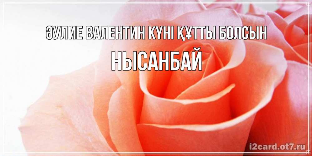 Күн сайын ашық хат с именем, НЫСАНБАЙ Әулие Валентин күні құтты болсын открытка на день Святого Валентина с розовой розой Онлайн тегін жүктеп алу тілектері бар керемет карта 