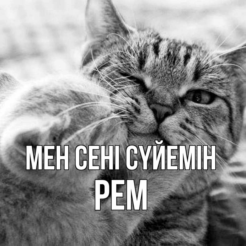 Күн сайын ашық хат с именем, Рем Мен сені сүйемін коты Онлайн тегін жүктеп алу тілектері бар керемет карта 
