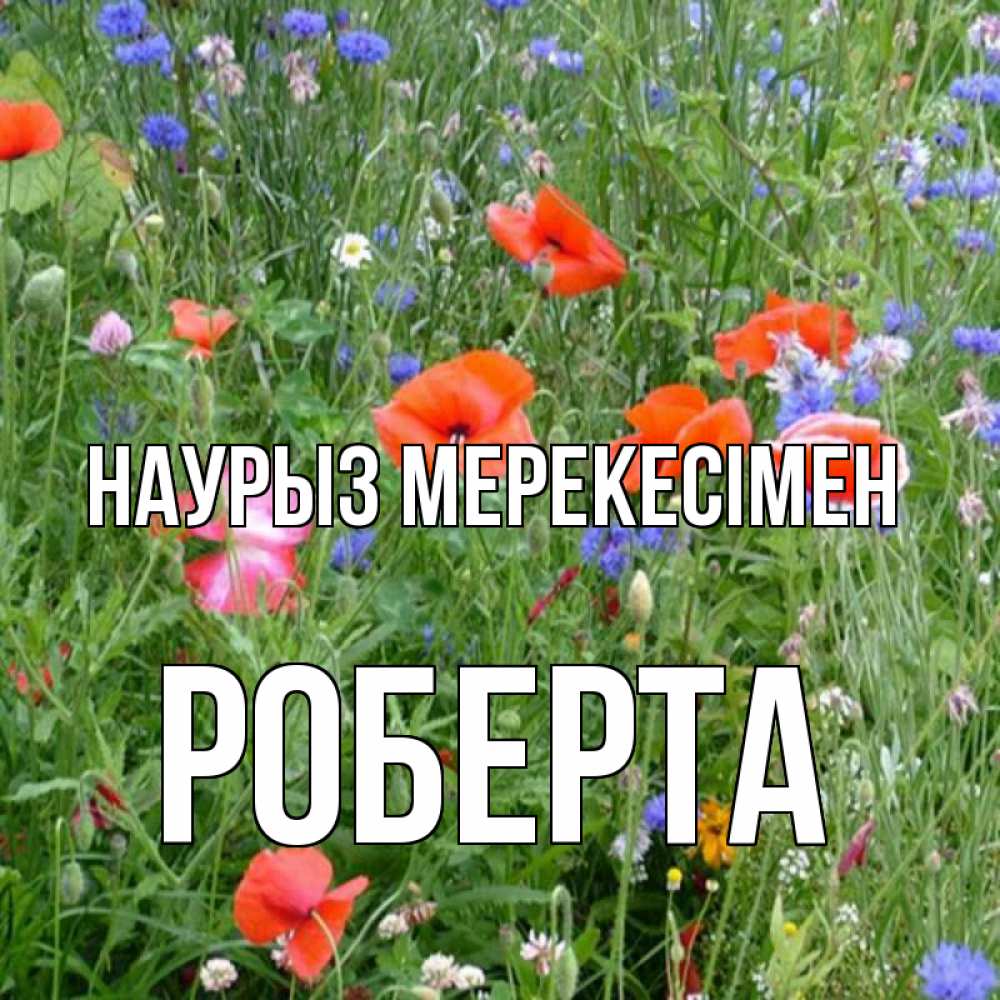 Күн сайын ашық хат с именем, Роберта Наурыз мерекесімен праздник весны наурыз супер открытка Онлайн тегін жүктеп алу тілектері бар керемет карта 