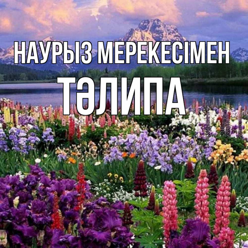 Күн сайын ашық хат с именем, ТӘЛИПА Наурыз мерекесімен праздник весны наурыз Онлайн тегін жүктеп алу тілектері бар керемет карта 