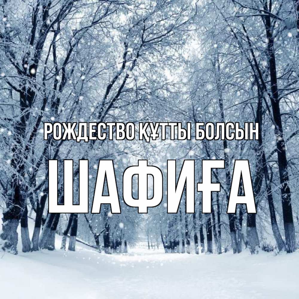 Күн сайын ашық хат с именем, ШАФИҒА Рождество құтты болсын снег, лес, парк Онлайн тегін жүктеп алу тілектері бар керемет карта 
