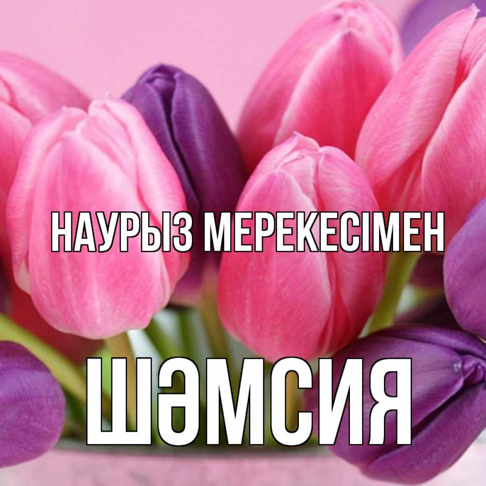 Күн сайын ашық хат с именем, ШӘМСИЯ Наурыз мерекесімен маме 1 Онлайн тегін жүктеп алу тілектері бар керемет карта 