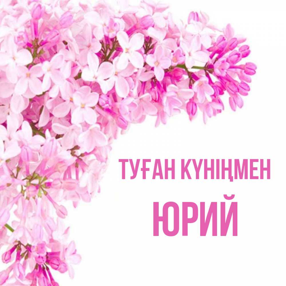 Күн сайын ашық хат с именем, Юрий Туған күніңмен Сирень на белом фоне Онлайн тегін жүктеп алу тілектері бар керемет карта 