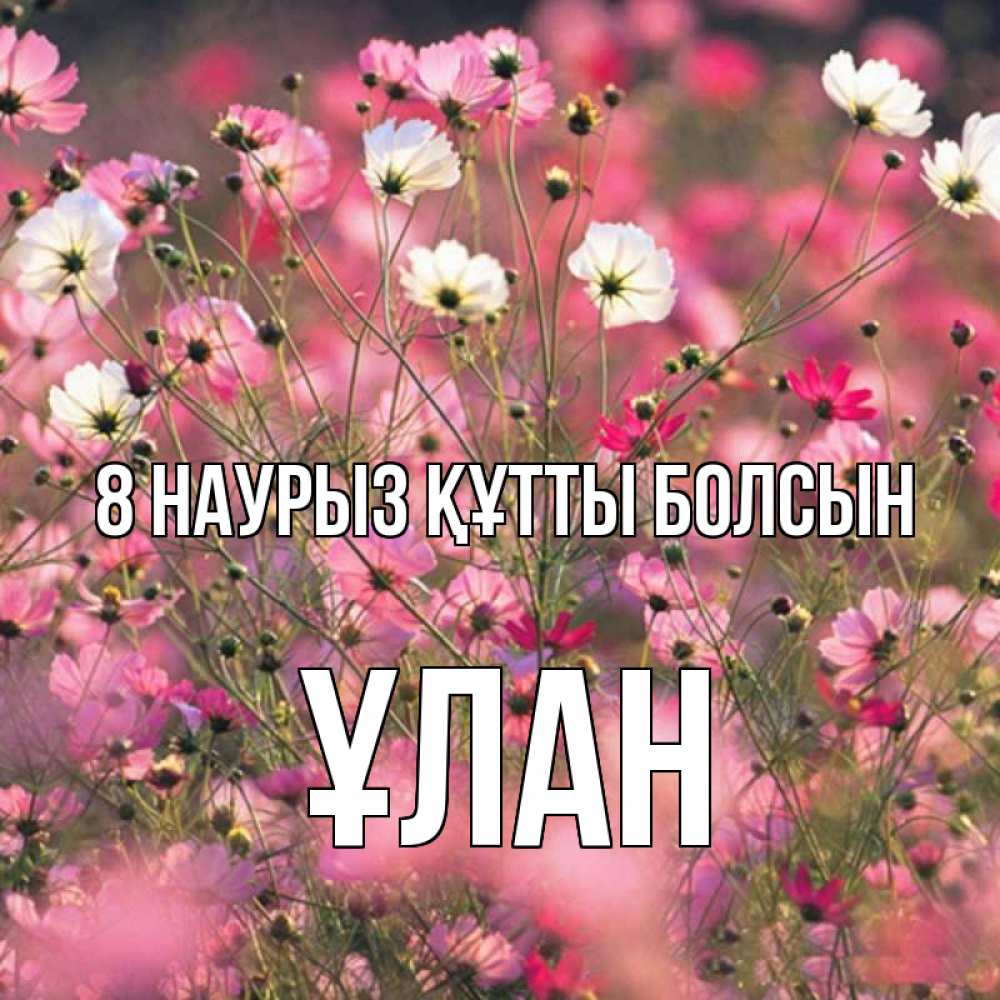 Күн сайын ашық хат с именем, ҰЛАН 8 наурыз құтты болсын красиво 1 Онлайн тегін жүктеп алу тілектері бар керемет карта 