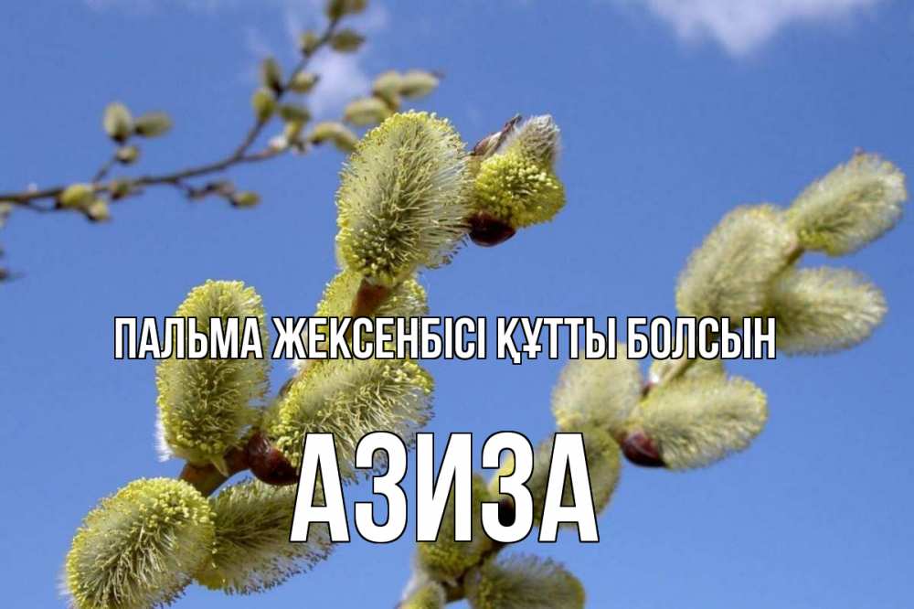 Күн сайын ашық хат с именем, Азиза Пальма жексенбісі құтты болсын верба Онлайн тегін жүктеп алу тілектері бар керемет карта 
