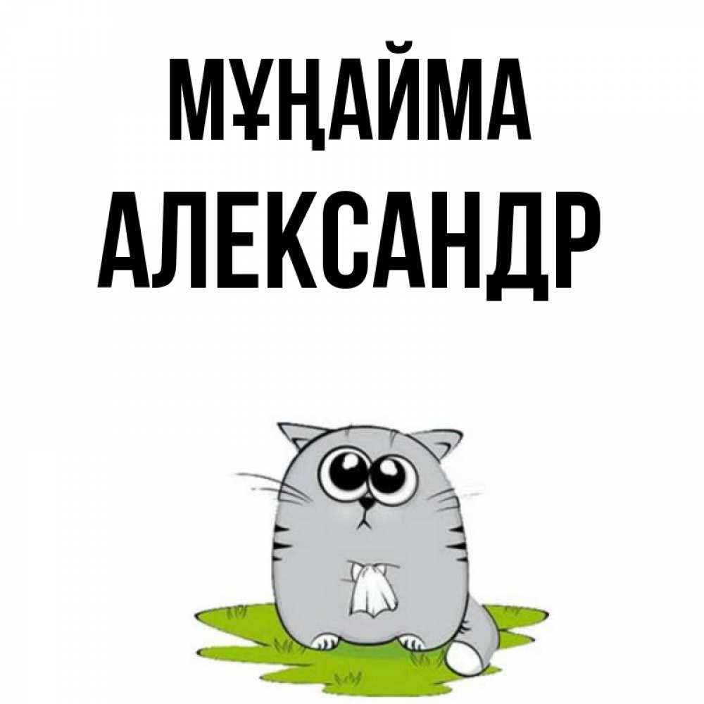 Күн сайын ашық хат с именем, Александр Мұңайма грустный котяра Онлайн тегін жүктеп алу тілектері бар керемет карта 