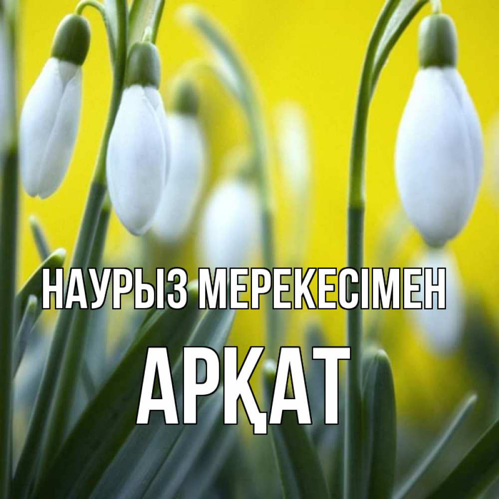 Күн сайын ашық хат с именем, Арқат Наурыз мерекесімен весенние цветы Онлайн тегін жүктеп алу тілектері бар керемет карта 