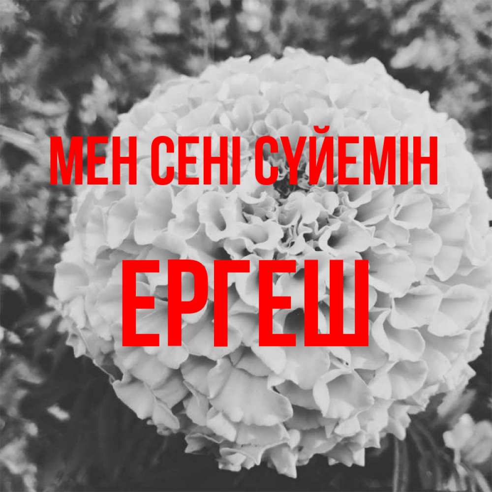 Күн сайын ашық хат с именем, Ергеш Мен сені сүйемін подпись Онлайн тегін жүктеп алу тілектері бар керемет карта 
