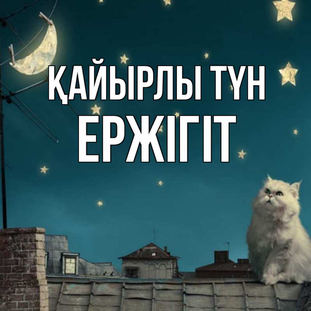 Күн сайын ашық хат с именем, Ержігіт Қайырлы түн белый кот сидит на крыше Онлайн тегін жүктеп алу тілектері бар керемет карта 