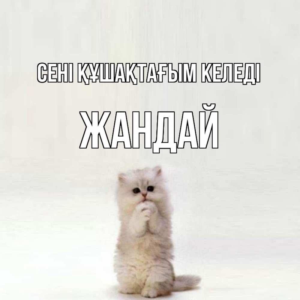Күн сайын ашық хат с именем, Жандай сені құшақтағым келеді открытки с креативными подписями Онлайн тегін жүктеп алу тілектері бар керемет карта 