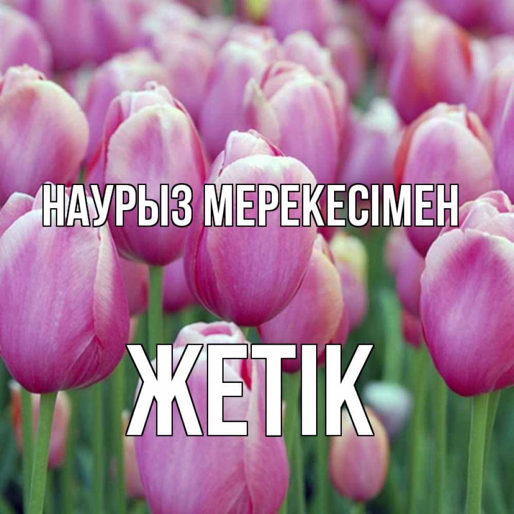 Күн сайын ашық хат с именем, Жетік Наурыз мерекесімен праздник весны наурыз 69 Онлайн тегін жүктеп алу тілектері бар керемет карта 