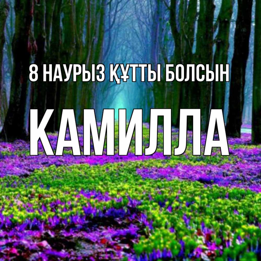 Күн сайын ашық хат с именем, Камилла 8 наурыз құтты болсын фиолетовые цветы в лесу 1 Онлайн тегін жүктеп алу тілектері бар керемет карта 