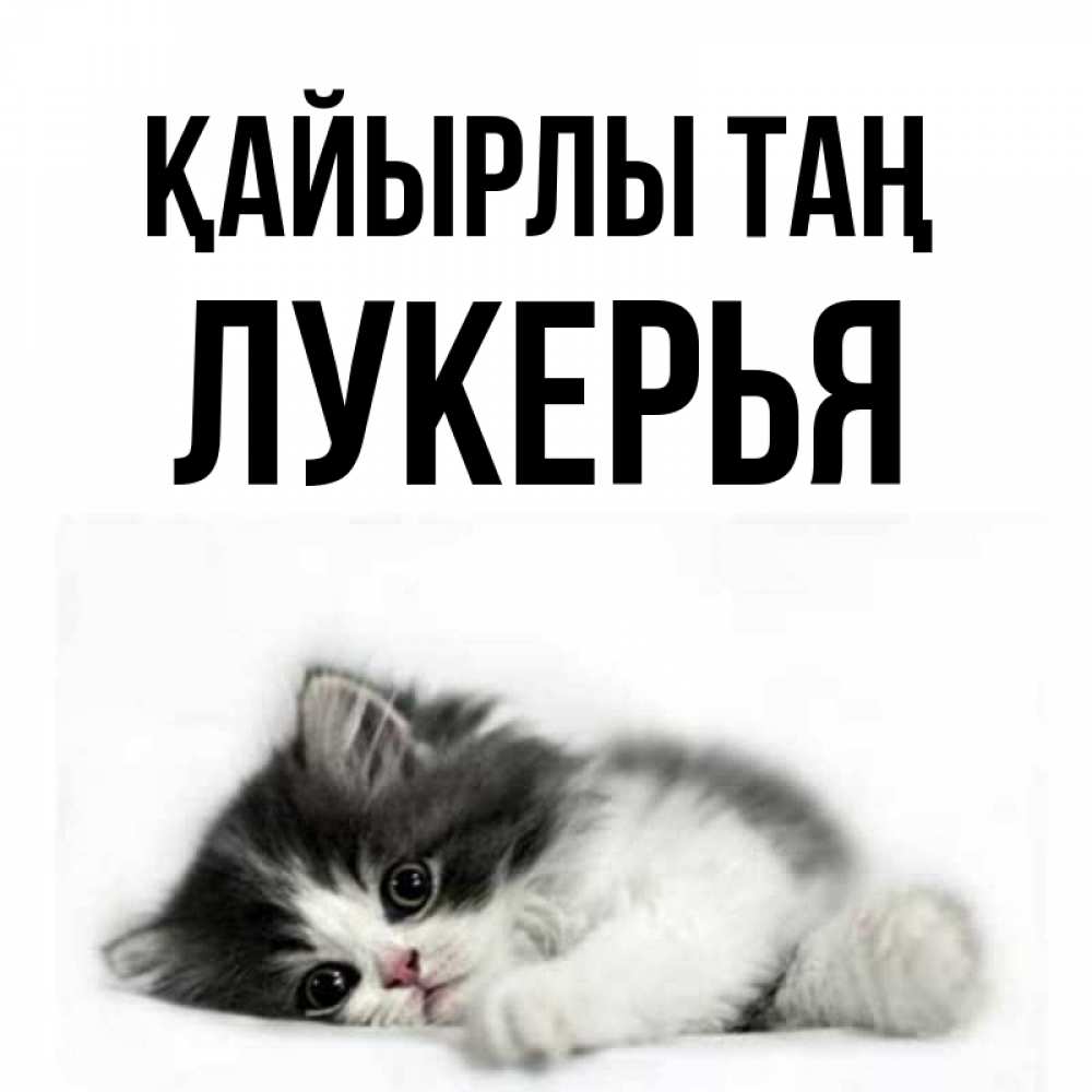 Күн сайын ашық хат с именем, Лукерья Қайырлы таң кот лапки Онлайн тегін жүктеп алу тілектері бар керемет карта 