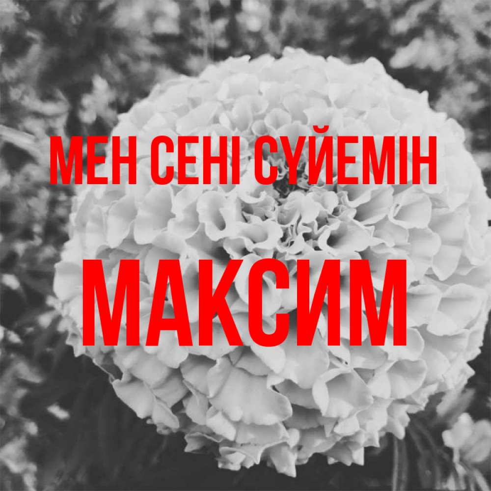 Күн сайын ашық хат с именем, Максим Мен сені сүйемін подпись Онлайн тегін жүктеп алу тілектері бар керемет карта 