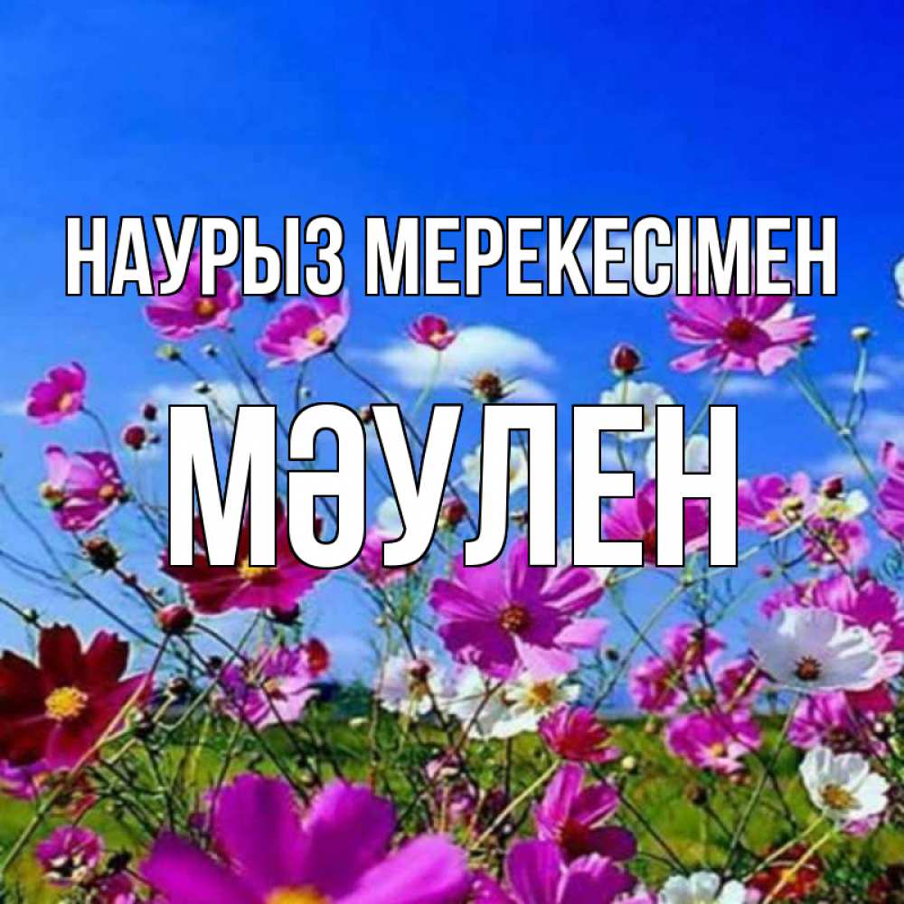 Күн сайын ашық хат с именем, МӘУЛЕН Наурыз мерекесімен цветы Онлайн тегін жүктеп алу тілектері бар керемет карта 