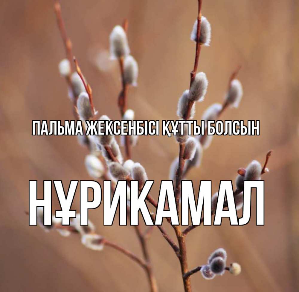 Күн сайын ашық хат с именем, НҰРИКАМАЛ Пальма жексенбісі құтты болсын верба Онлайн тегін жүктеп алу тілектері бар керемет карта 