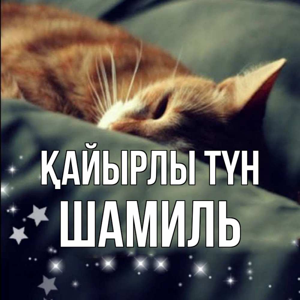 Күн сайын ашық хат с именем, Шамиль Қайырлы түн кроватка Онлайн тегін жүктеп алу тілектері бар керемет карта 