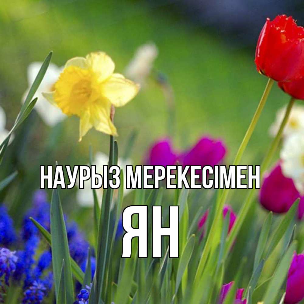 Күн сайын ашық хат с именем, Ян Наурыз мерекесімен праздник весны наурыз 3 Онлайн тегін жүктеп алу тілектері бар керемет карта 