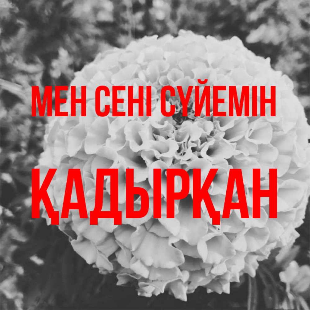 Күн сайын ашық хат с именем, Қадырқан Мен сені сүйемін подпись Онлайн тегін жүктеп алу тілектері бар керемет карта 