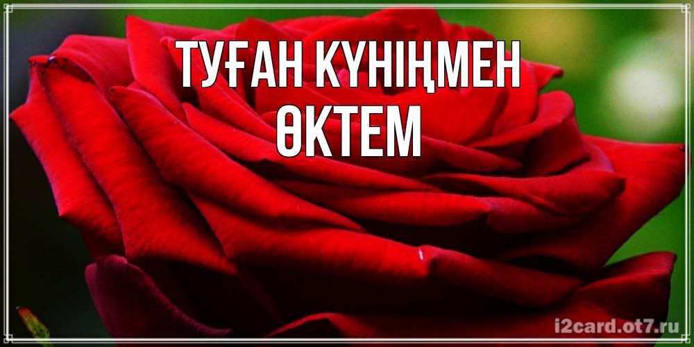 Күн сайын ашық хат с именем, ӨКТЕМ Туған күніңмен розочка очень красивая Онлайн тегін жүктеп алу тілектері бар керемет карта 
