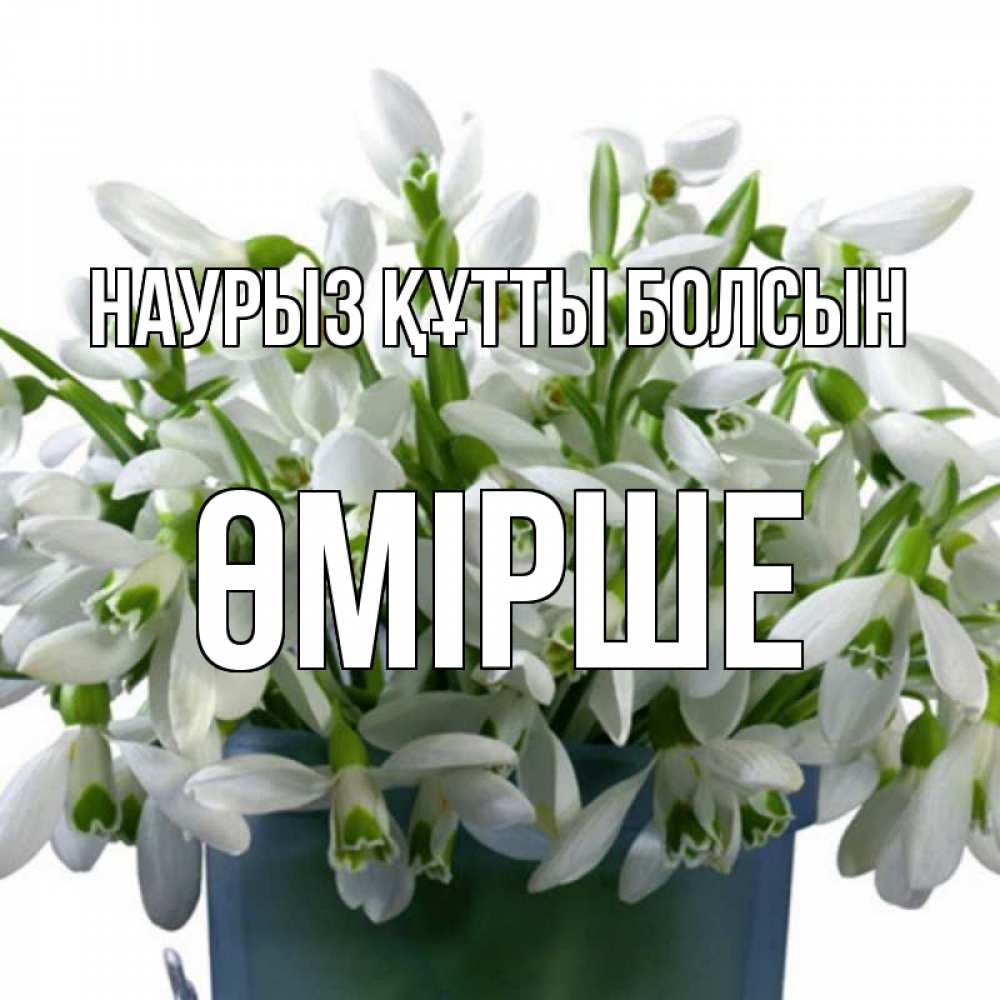 Күн сайын ашық хат с именем, ӨМІРШЕ Наурыз құтты болсын цветы к наурызу Онлайн тегін жүктеп алу тілектері бар керемет карта 