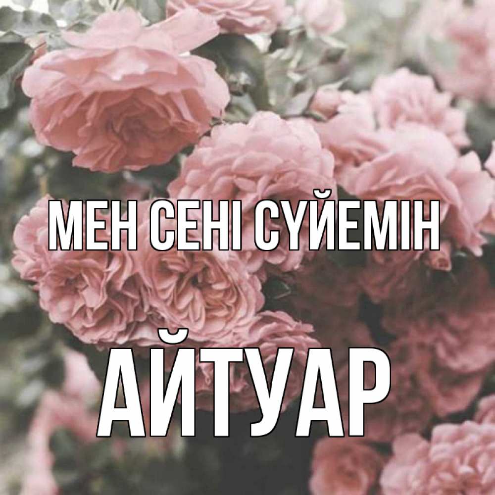 Күн сайын ашық хат с именем, Айтуар Мен сені сүйемін розы 3 Онлайн тегін жүктеп алу тілектері бар керемет карта 