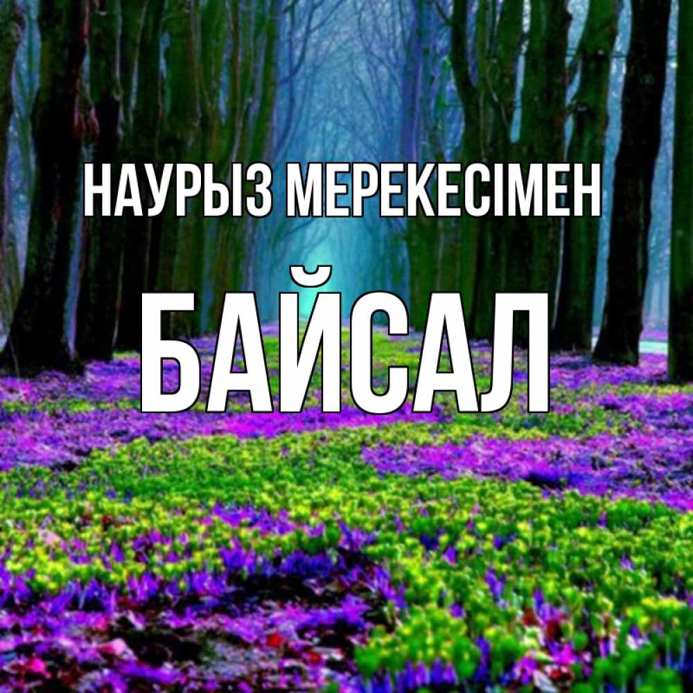 Күн сайын ашық хат с именем, Байсал Наурыз мерекесімен фиолетовые цветы в лесу 1 Онлайн тегін жүктеп алу тілектері бар керемет карта 
