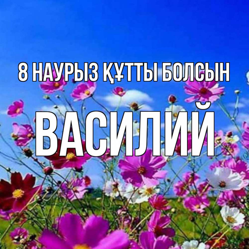 Күн сайын ашық хат с именем, Василий 8 наурыз құтты болсын цветы Онлайн тегін жүктеп алу тілектері бар керемет карта 
