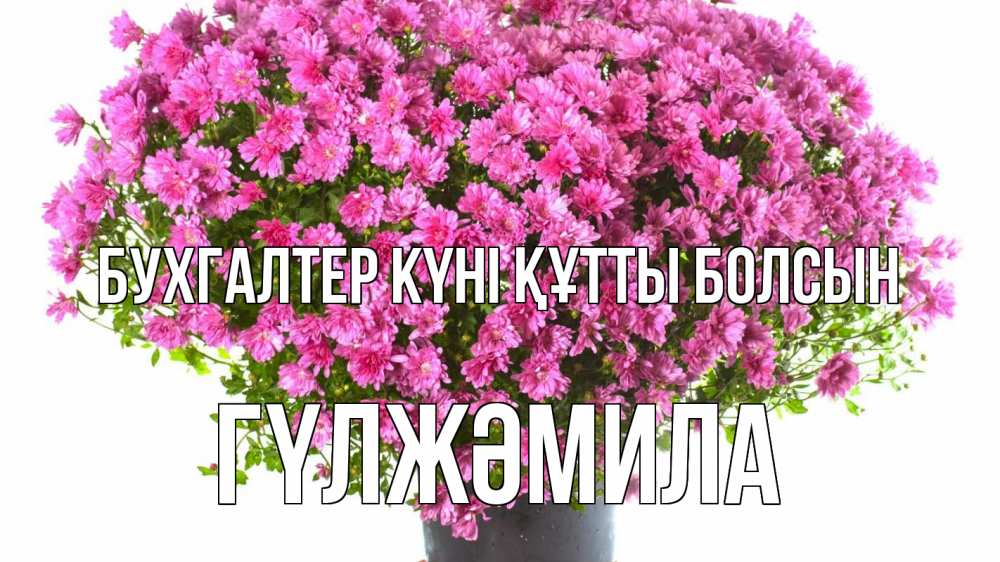 Күн сайын ашық хат с именем, ГҮЛЖӘМИЛА бухгалтер күні құтты болсын с днем бухгалтера Онлайн тегін жүктеп алу тілектері бар керемет карта 