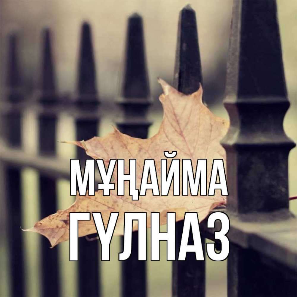 Күн сайын ашық хат с именем, ГҮЛНАЗ Мұңайма лист клена Онлайн тегін жүктеп алу тілектері бар керемет карта 