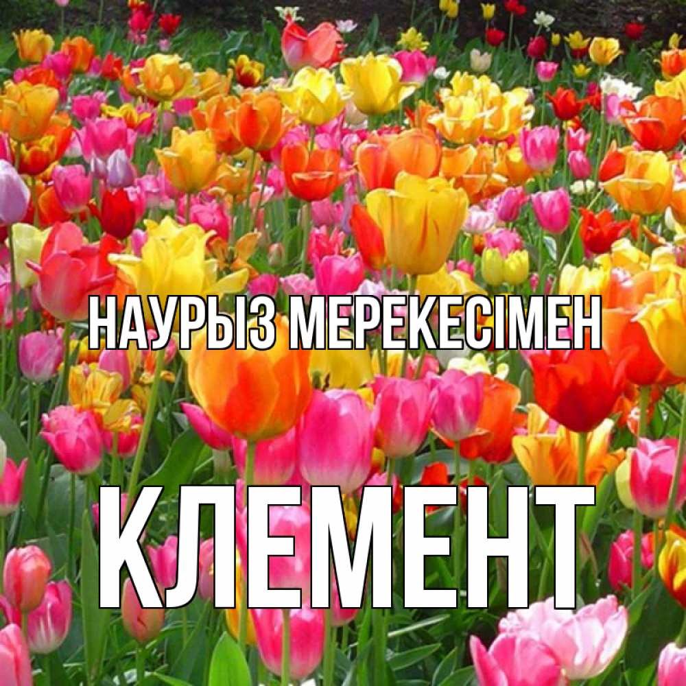Күн сайын ашық хат с именем, Клемент Наурыз мерекесімен праздник весны наурыз 4 Онлайн тегін жүктеп алу тілектері бар керемет карта 