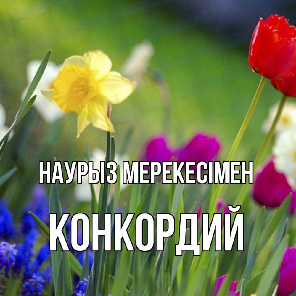 Күн сайын ашық хат с именем, Конкордий Наурыз мерекесімен праздник весны наурыз 3 Онлайн тегін жүктеп алу тілектері бар керемет карта 