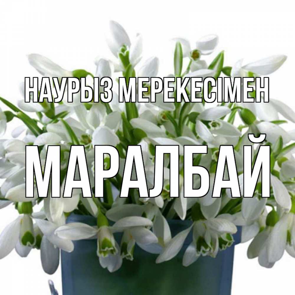Күн сайын ашық хат с именем, МАРАЛБАЙ Наурыз мерекесімен цветы к наурызу новый год в Казахстане Онлайн тегін жүктеп алу тілектері бар керемет карта 