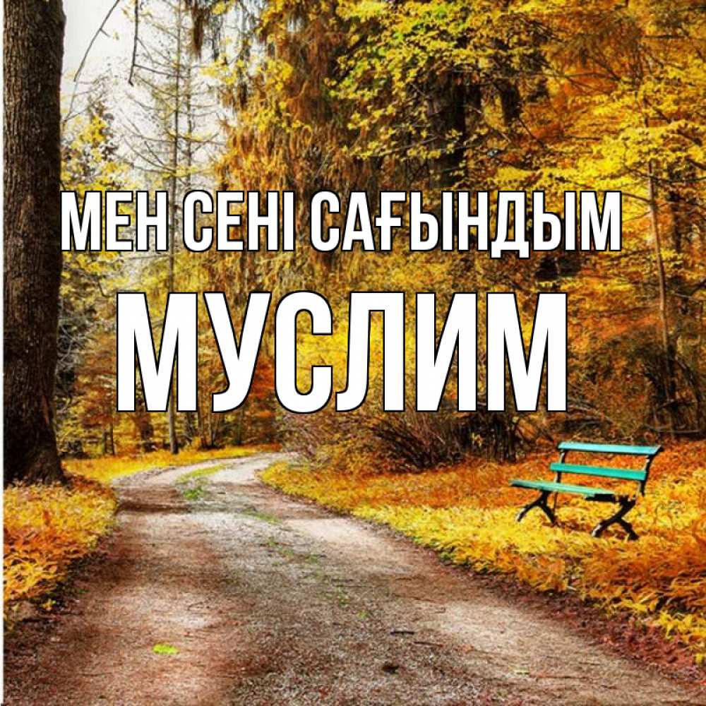 Күн сайын ашық хат с именем, Муслим Мен сені сағындым зеленая лавочка и осенний лес Онлайн тегін жүктеп алу тілектері бар керемет карта 