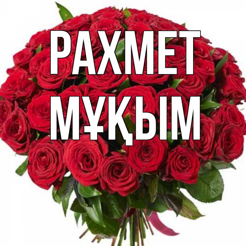 Күн сайын ашық хат с именем, МҰҚЫМ рахмет букет красных роз Онлайн тегін жүктеп алу тілектері бар керемет карта 