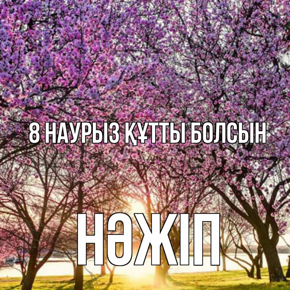 Күн сайын ашық хат с именем, НӘЖІП 8 наурыз құтты болсын международный женский день Онлайн тегін жүктеп алу тілектері бар керемет карта 
